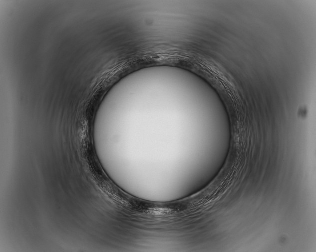 X0000101210748200806270854