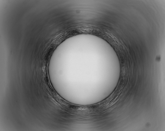 X0000101210749200806270854
