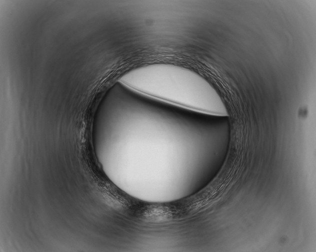 X0000101210750200806270854