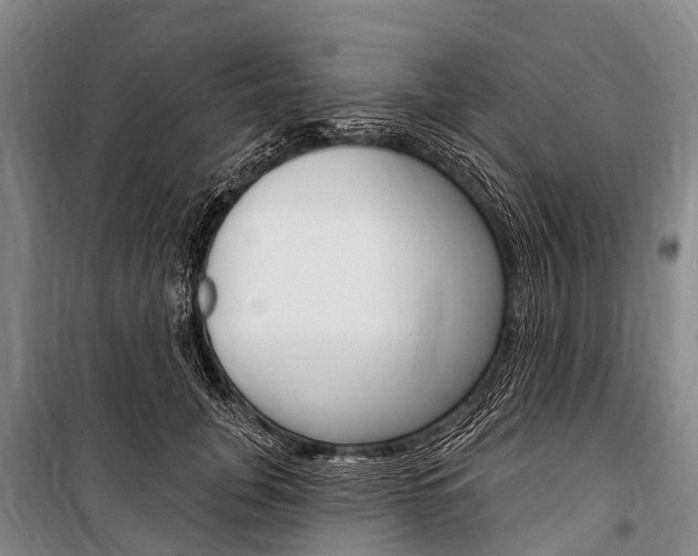X0000101210751200806270854