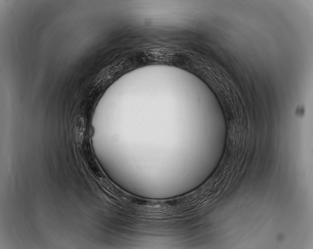 X0000101210752200806270854