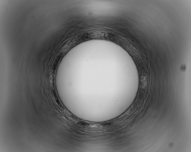 X0000101210753200806270854