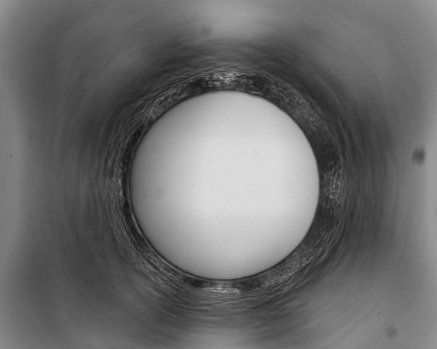 X0000101210754200806270854