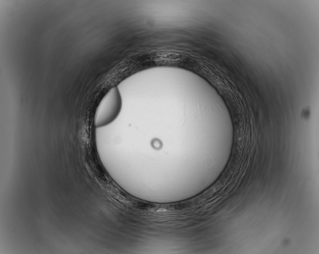 X0000101210755200806270854