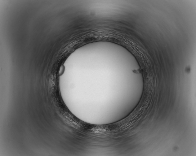 X0000101210756200806270854