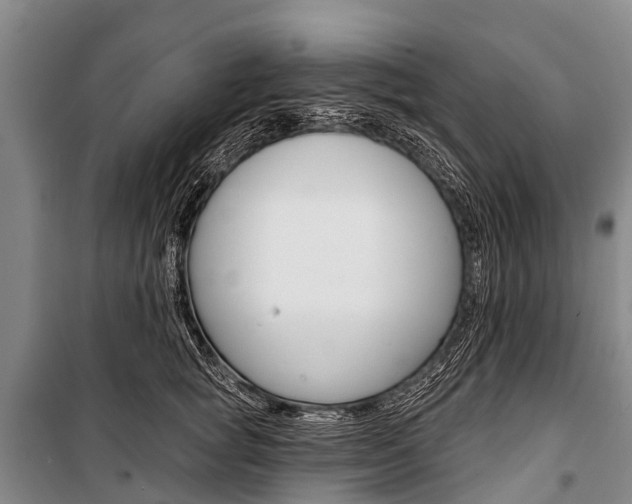 X0000101210757200806270854