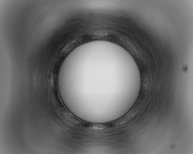 X0000101210758200806270854