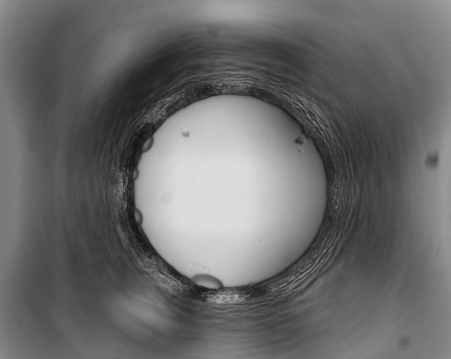 X0000101210759200806270854