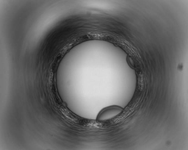 X0000101210760200806270854