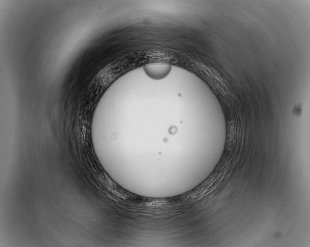 X0000101210761200806270854
