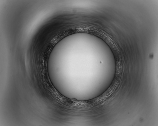 X0000101210762200806270854