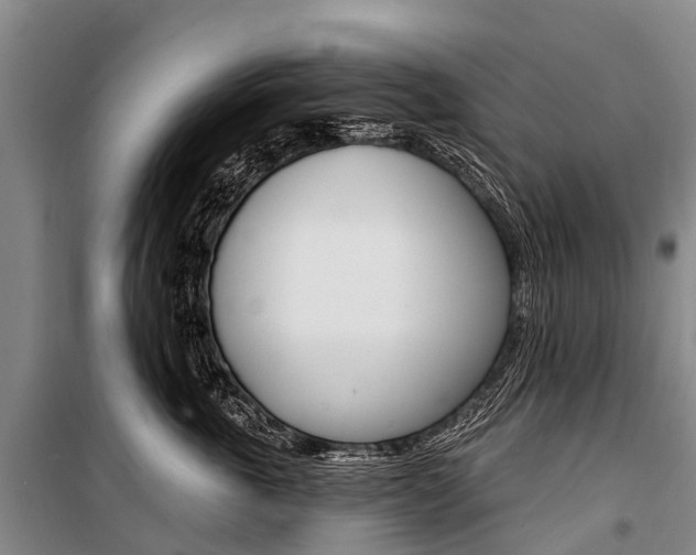 X0000101210763200806270854