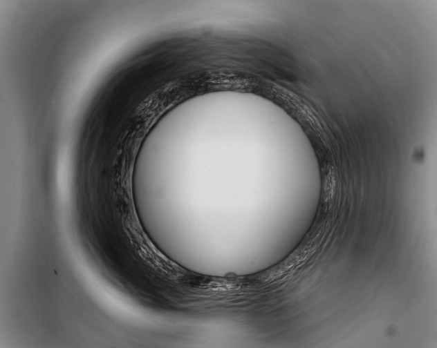 X0000101210764200806270854