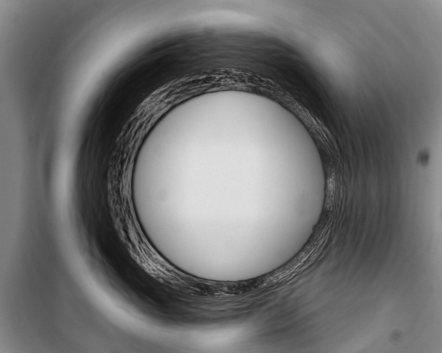 X0000101210765200806270854