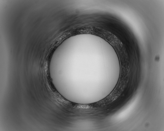 X0000101210767200806270854