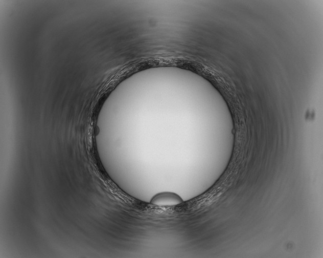 X0000101210768200806270854