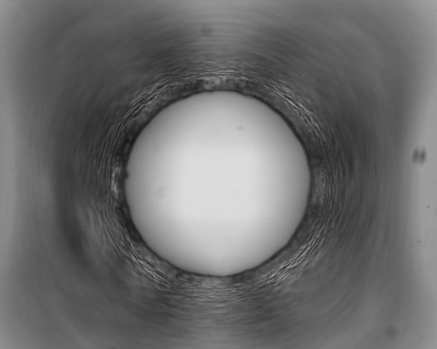 X0000101210770200806270853
