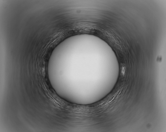 X0000101210771200806270853
