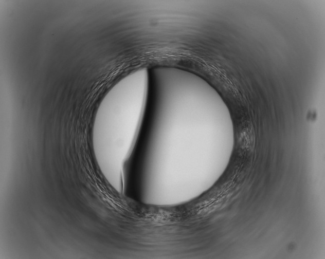 X0000101210772200806270853