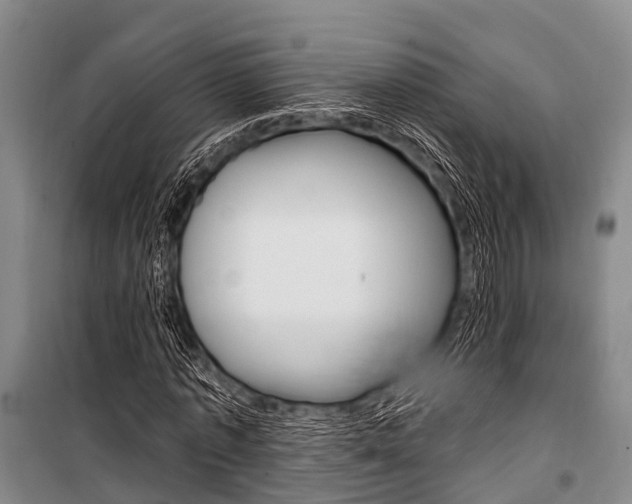 X0000101210773200806270853
