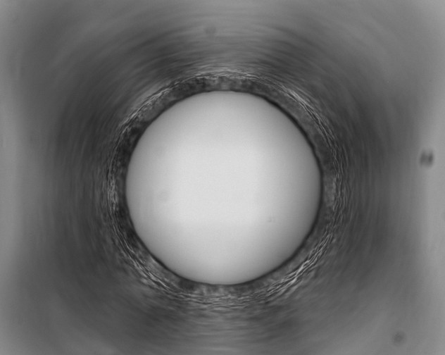 X0000101210774200806270853