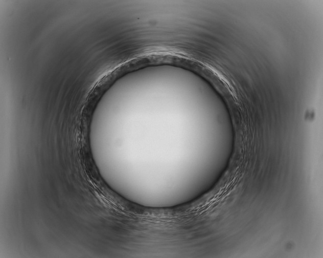 X0000101210775200806270853