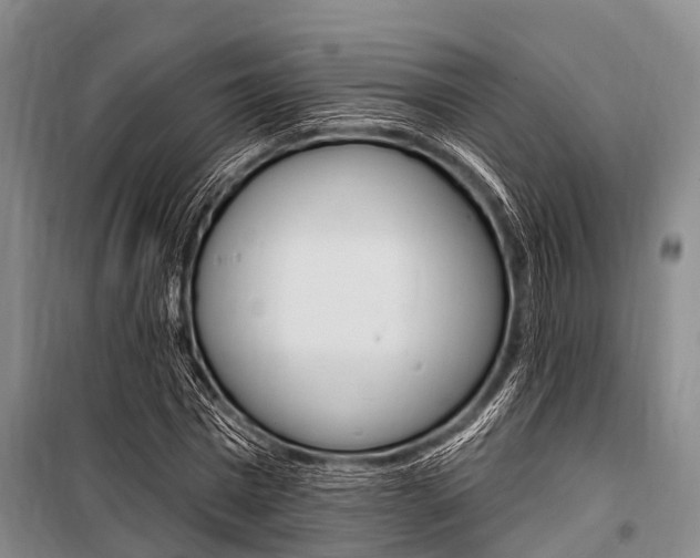 X0000101210777200806270853