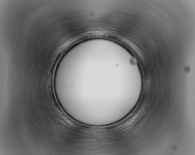 X0000101210778200806270853