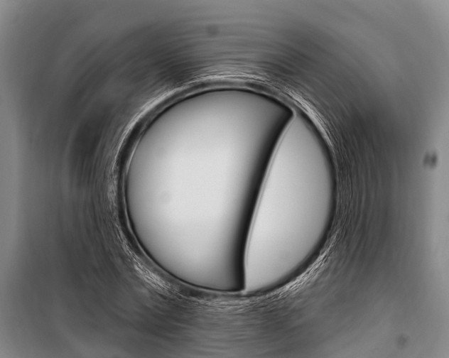 X0000101210779200806270853