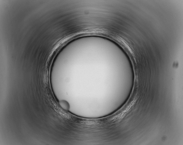 X0000101210781200806270853
