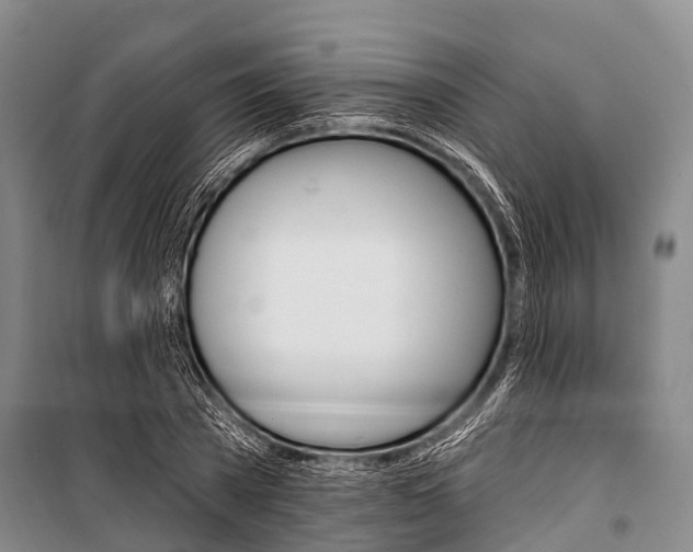 X0000101210785200806270853