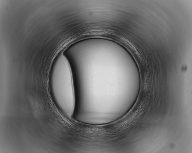X0000101210786200806270853