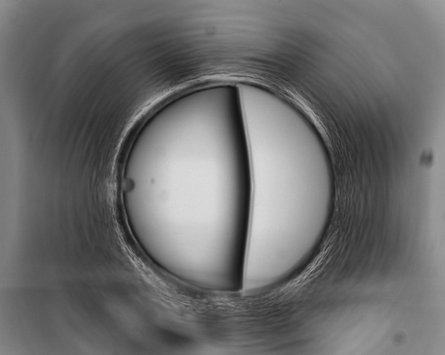 X0000101210787200806270853