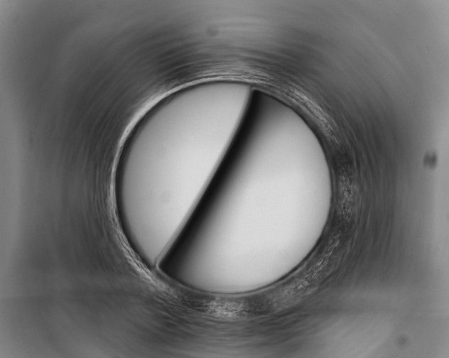 X0000101210788200806270853