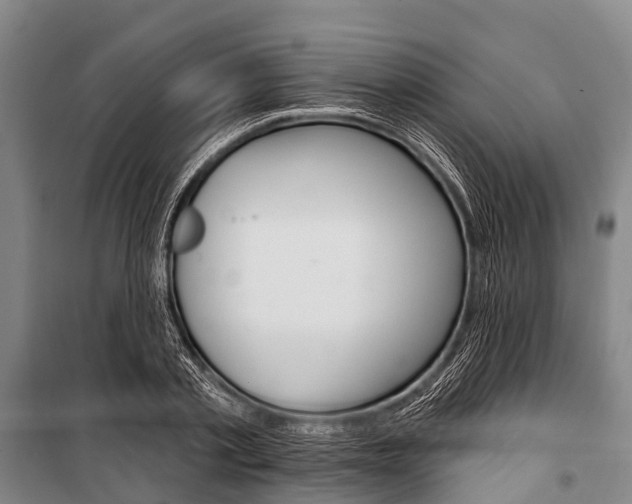 X0000101210789200806270853
