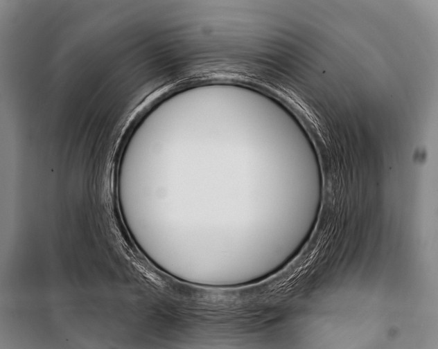 X0000101210790200806270853