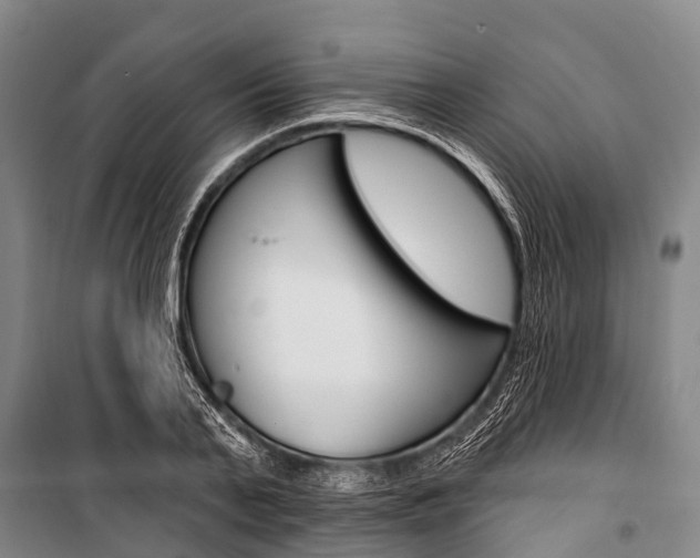 X0000101210791200806270853