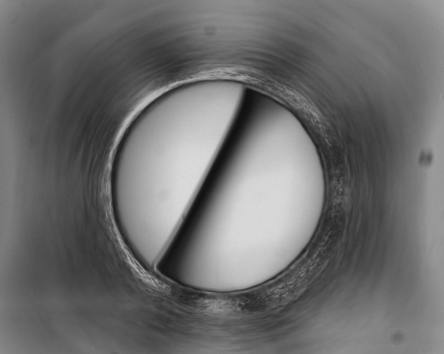 X0000101210792200806270853