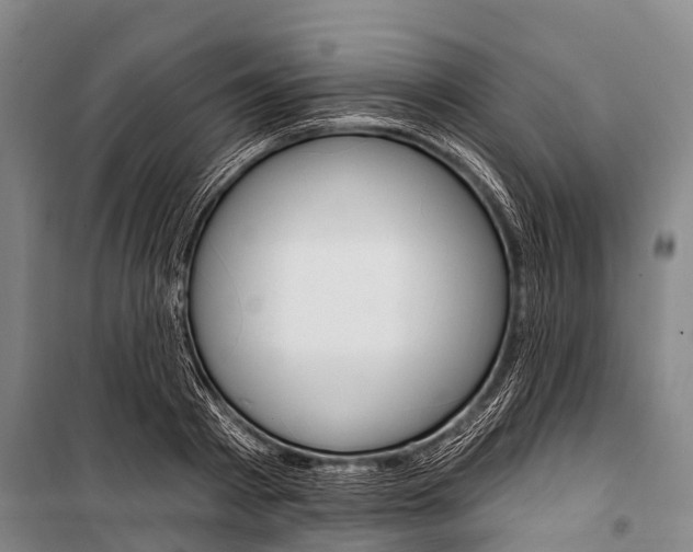 X0000101210793200806270853
