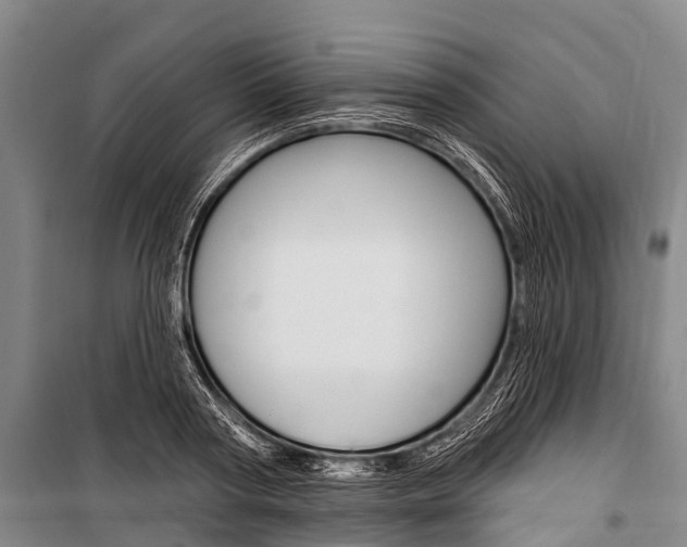 X0000101210794200806270853