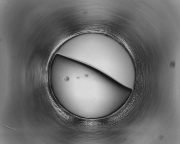X0000101210795200806270853