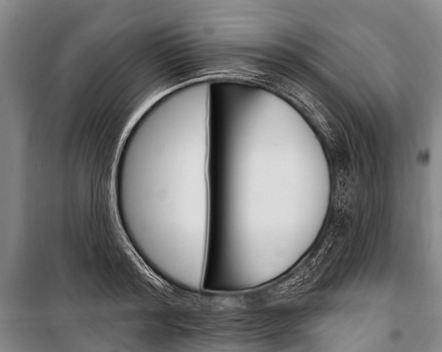X0000101210796200806270853