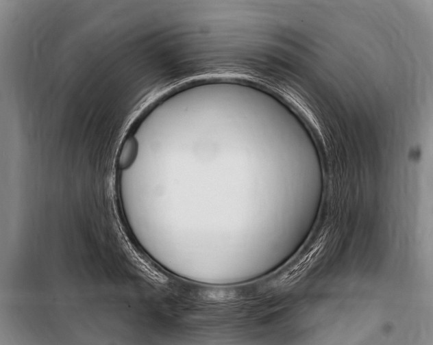 X0000101210797200806270853