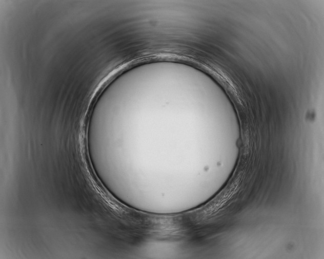 X0000101210798200806270853