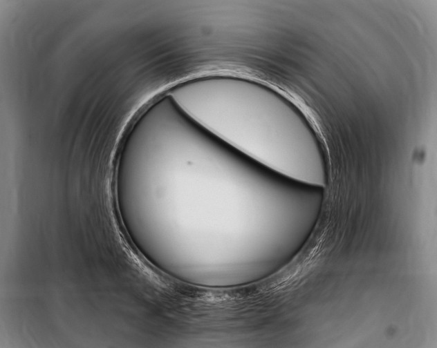 X0000101210799200806270853