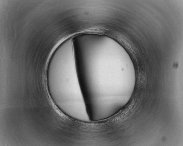 X0000101210800200806270853