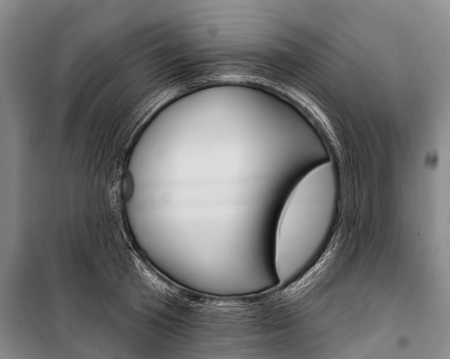 X0000101210801200806270853