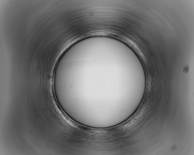 X0000101210802200806270853