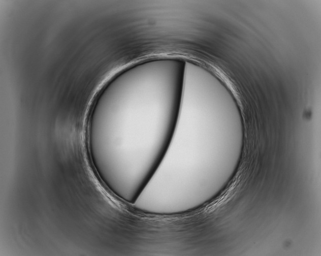 X0000101210803200806270853