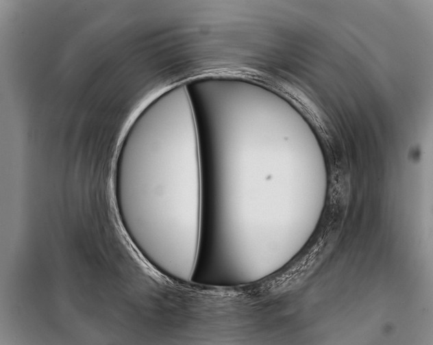 X0000101210804200806270853